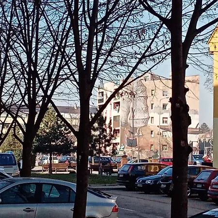 Apartament Pahuljica